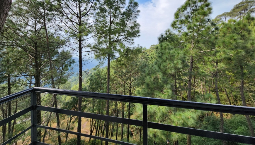 luxury rooms in Kasauli
